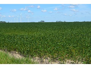 Property photo 22 - 233 +/- Acres Offered in 3 Tracts, Ohio Land Auction